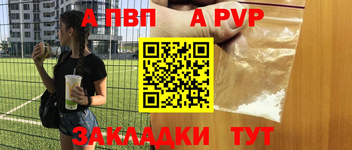 A-PVP СК Кингисепп