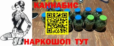 СК Бийск