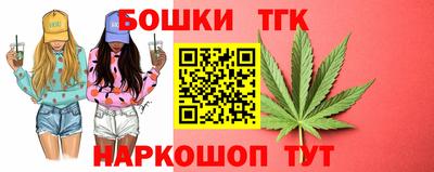 СК Бийск