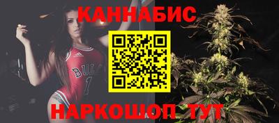 СК Бийск