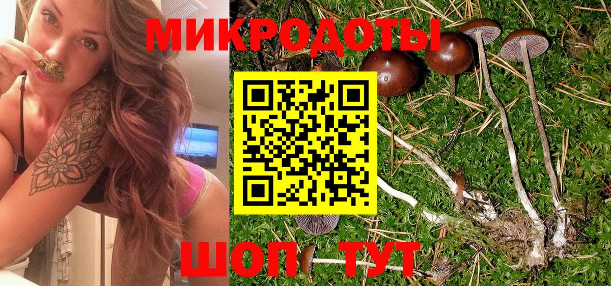 Псилоцибиновые грибы Cubensis  Вход с VPN  где купить наркотик  Псилоцибиновые грибы мицелий  Кингисепп 
