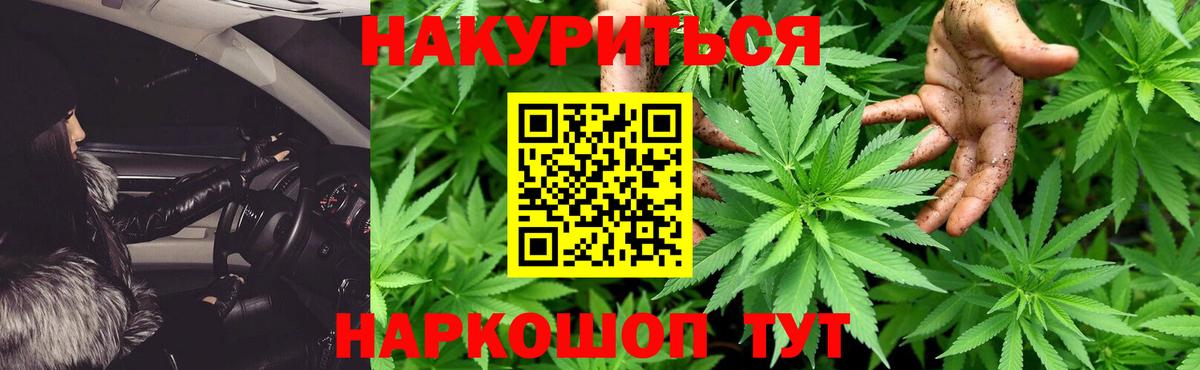 Каннабис ГИДРОПОН  Конопля конопля  Кингисепп  Вход с VPN  МАРИХУАНА сатива 